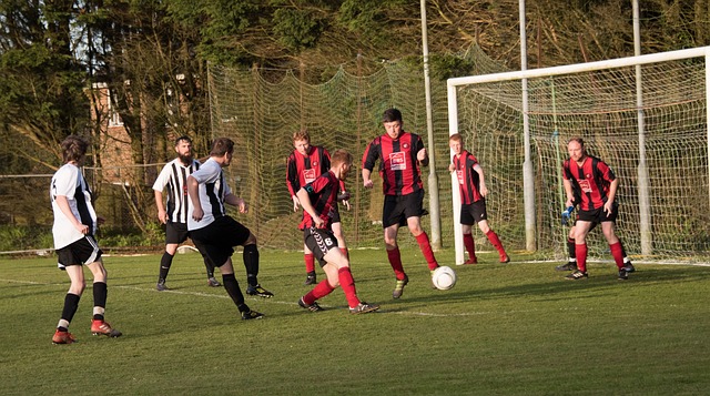 张本智和曾 张本智和曾