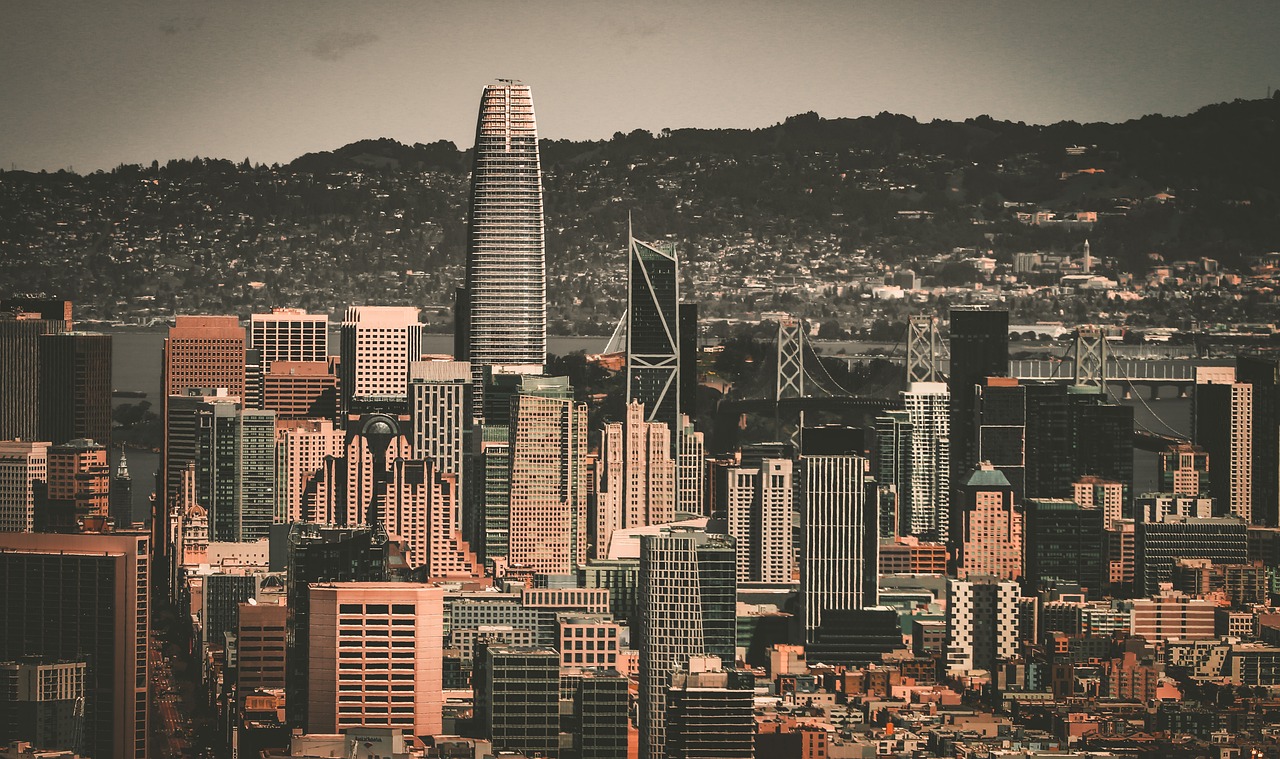 无疑将激励 无疑将激励