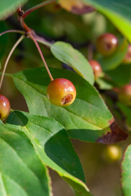 與可能性 與可能性