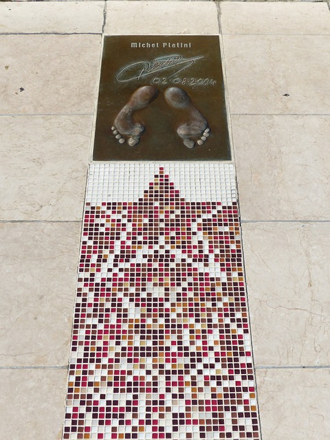 也体现了整 也体现了整