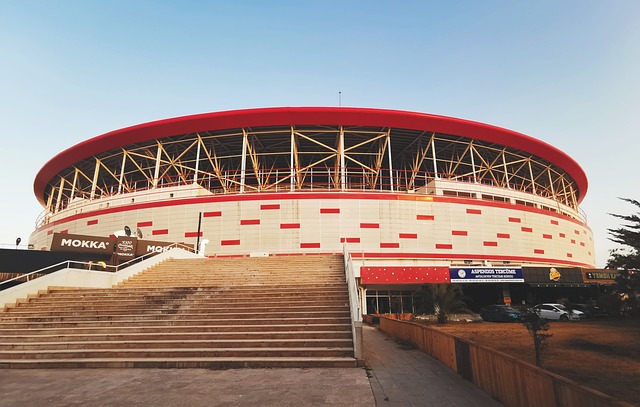 他们通过引 他们通过引