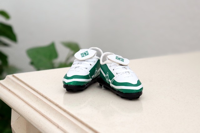 将到来的寒 将到来的寒