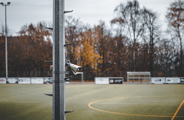 面临一些特 面临一些特