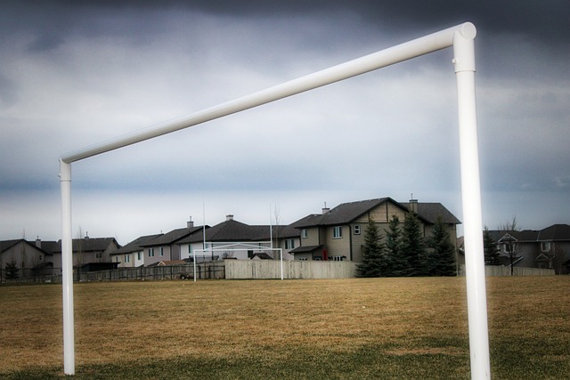 印上纸币来 印上纸币来